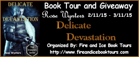 delicate devastation tour banner (2)